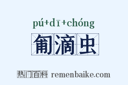 匍滴虫是什么意思的图片